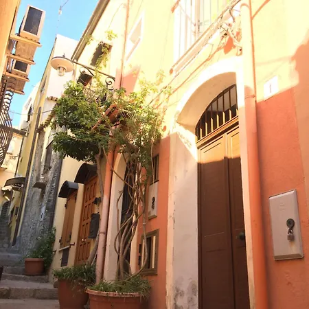 Tiny House In The Heart Of